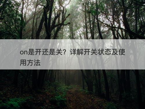 on是开还是关？详解开关状态及使用方法
