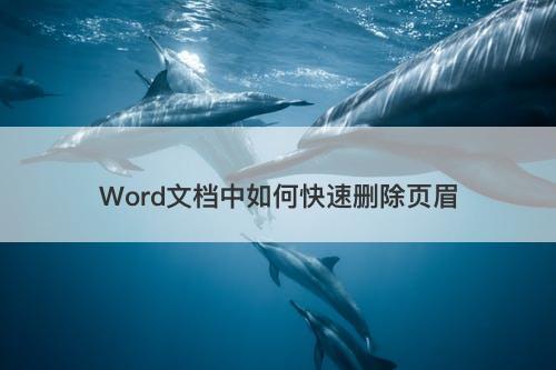 Word文档中如何快速删除页眉