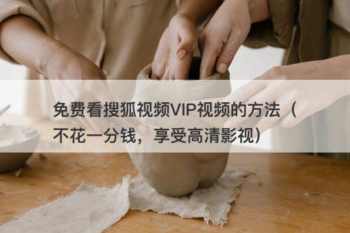 免费看搜狐视频VIP视频的方法（不花一分钱，享受高清影视）
