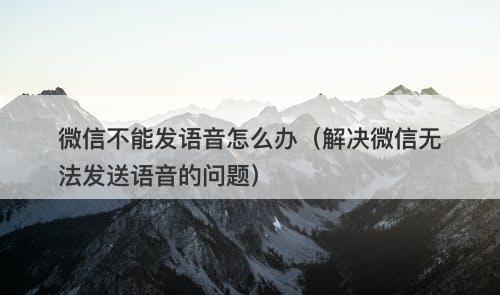 微信不能发语音怎么办（解决微信无法发送语音的问题）