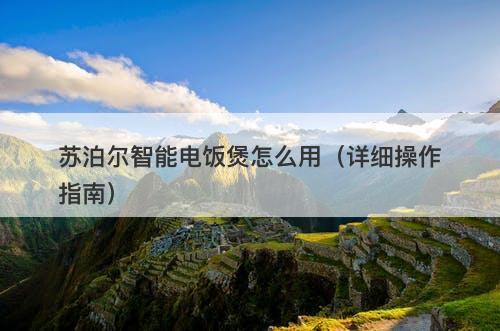 苏泊尔智能电饭煲怎么用（详细操作指南）