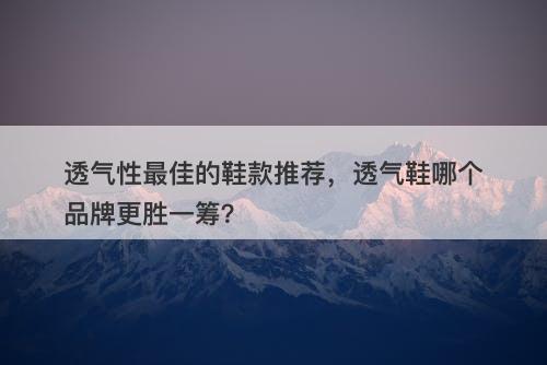 透气性最佳的鞋款推荐，透气鞋哪个品牌更胜一筹？