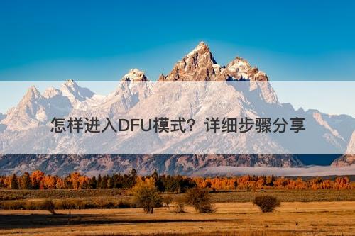 怎样进入DFU模式？详细步骤分享-图1