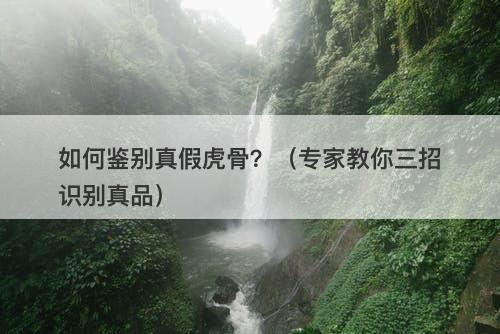 如何鉴别真假虎骨？（专家教你三招识别真品）-图1