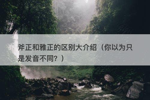 斧正和雅正的区别大介绍（你以为只是发音不同？）-图1
