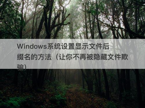 Windows系统设置显示文件后缀名的方法（让你不再被隐藏文件欺骗）