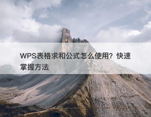 WPS表格求和公式怎么使用？快速掌握方法