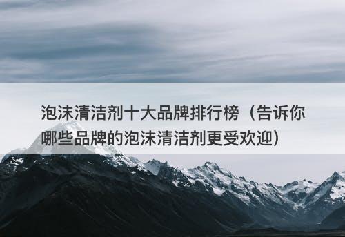 泡沫清洁剂十大品牌排行榜（告诉你哪些品牌的泡沫清洁剂更受欢迎）-图1