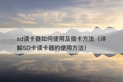 sd读卡器如何使用及插卡方法（详解SD卡读卡器的使用方法）