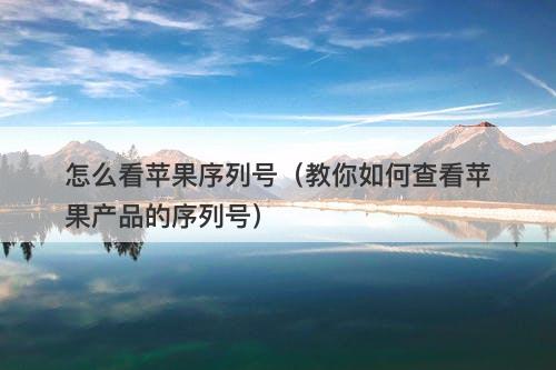 怎么看苹果序列号(教你如何查看苹果产品的序列号)-图1 怎么看苹果序列号(教你如何查看苹果产品的序列号)-图1