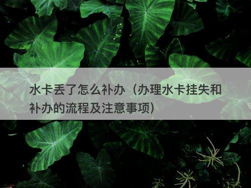 水卡丢了怎么补办（办理水卡挂失和补办的流程及注意事项）-图1