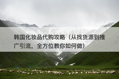 韩国化妆品代购攻略（从找货源到推广引流，全方位教你如何做）-图1