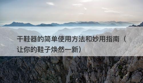 干鞋器的简单使用方法和妙用指南（让你的鞋子焕然一新）