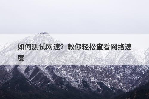 如何测试网速?教你轻松查看网络速度-图1 如何测试网速?教你轻松查看网络速度-图1