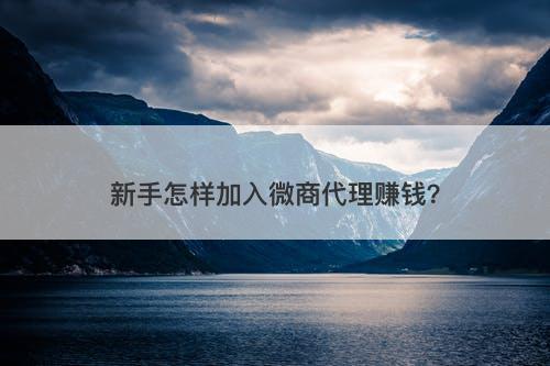 新手怎样加入微商代理赚钱？