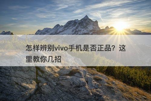怎样辨别vivo手机是否正品？这里教你几招