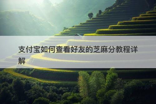 支付宝如何查看好友的芝麻分教程详解