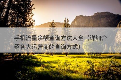 手机流量余额查询方法大全（详细介绍各大运营商的查询方式）-图1