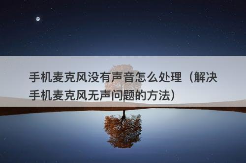 手机麦克风没有声音怎么处理（解决手机麦克风无声问题的方法）-图1