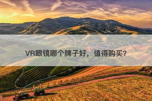 VR眼镜哪个牌子好，值得购买？