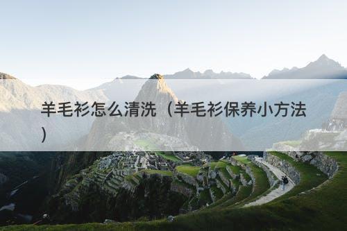 羊毛衫怎么清洗（羊毛衫保养小方法）