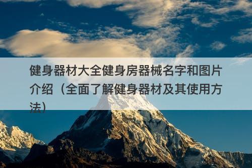 健身器材大全健身房器械名字和图片介绍（全面了解健身器材及其使用方法）