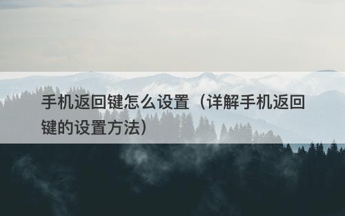 手机返回键怎么设置（详解手机返回键的设置方法）