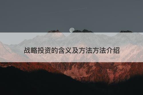 战略投资的含义及方法方法介绍