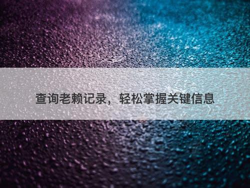 查询老赖记录，轻松掌握关键信息