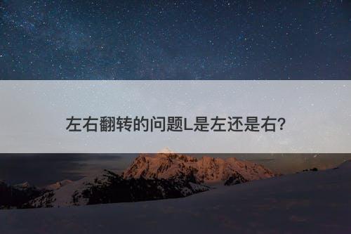 左右翻转的问题L是左还是右？