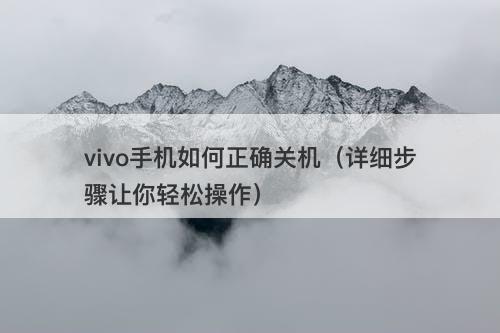 vivo手机如何正确关机（详细步骤让你轻松操作）