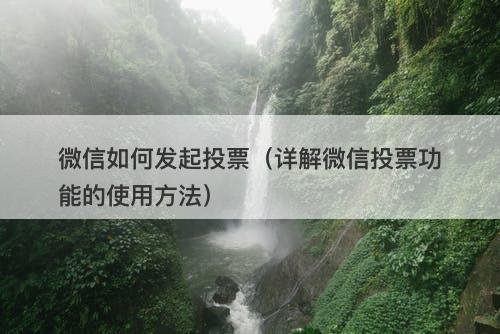 微信如何发起投票（详解微信投票功能的使用方法）