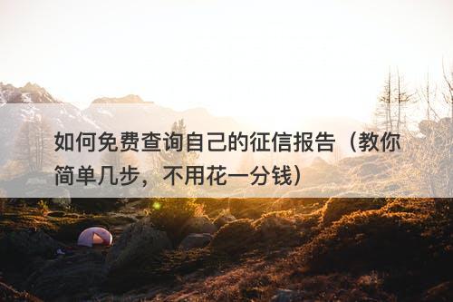 如何免费查询自己的征信报告（教你简单几步，不用花一分钱）