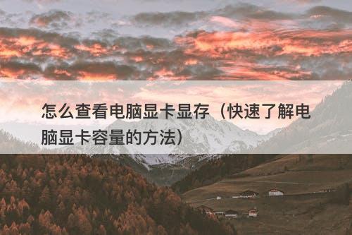 怎么查看电脑显卡显存（快速了解电脑显卡容量的方法）