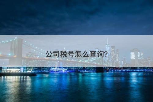 公司税号怎么查询？