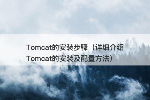 Tomcat的安装步骤（详细介绍Tomcat的安装及配置方法）
