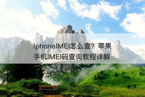 iphoneIMEI怎么查？苹果手机IMEI码查询教程详解