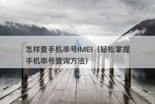 怎样查手机串号IMEI（轻松掌握手机串号查询方法）