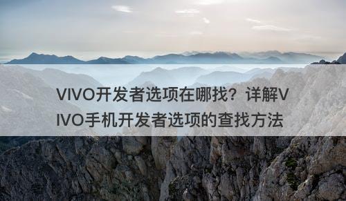 VIVO开发者选项在哪找？详解VIVO手机开发者选项的查找方法