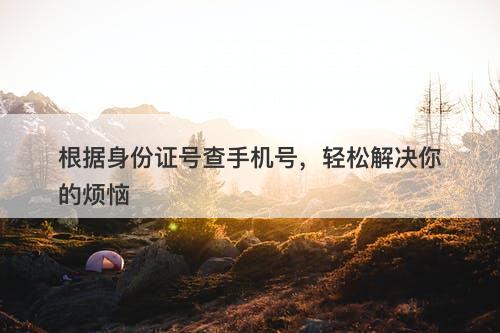 根据身份证号查手机号，轻松解决你的烦恼