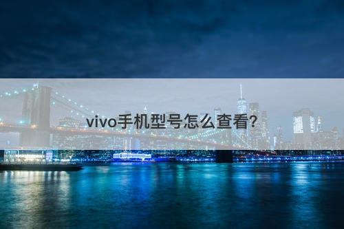 vivo手机型号怎么查看？