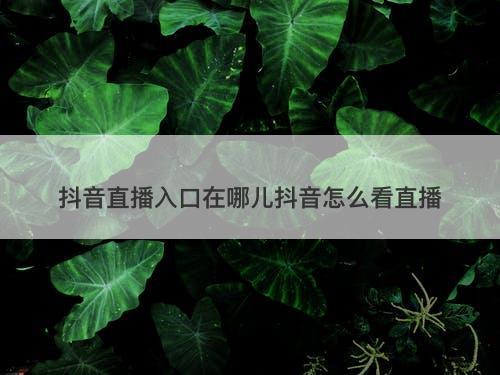 抖音直播入口在哪儿抖音怎么看直播