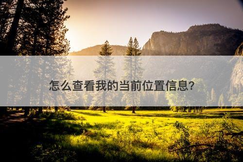 怎么查看我的当前位置信息？