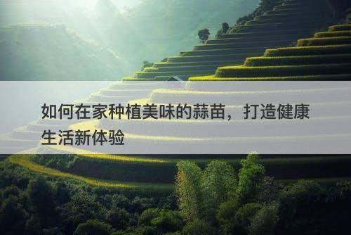 如何在家种植美味的蒜苗，打造健康生活新体验