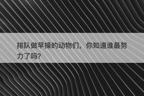 排队做早操的动物们，你知道谁最努力了吗？