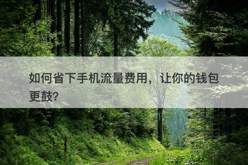 如何省下手机流量费用，让你的钱包更鼓？
