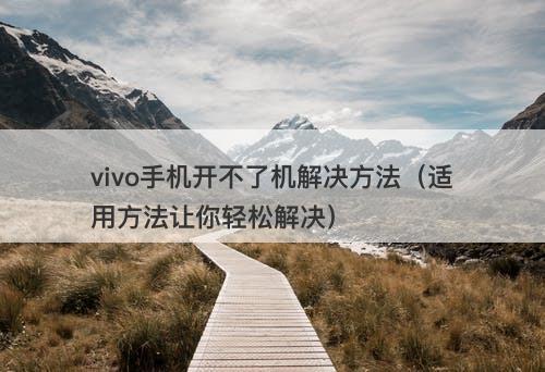 vivo手机开不了机解决方法（适用方法让你轻松解决）