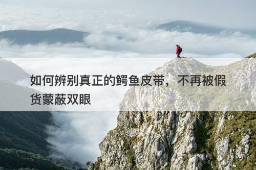 如何辨别真正的鳄鱼皮带，不再被假货蒙蔽双眼