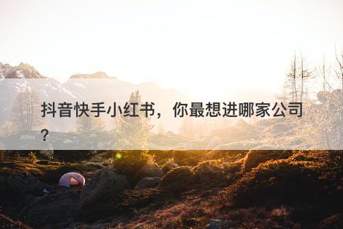 抖音快手小红书，你最想进哪家公司？