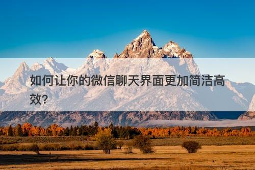 如何让你的微信聊天界面更加简洁高效？